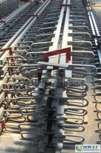 河北省明星企業(yè) 公路橋梁伸縮縫廠家的低價(jià)銷售策略及其在建筑建材市場(chǎng)的地位